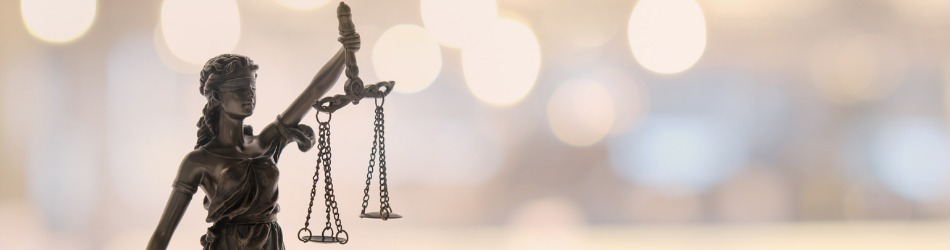 Teaser Bild für Offene Seminare