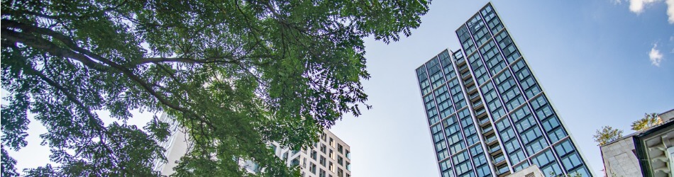 Teaser Bild für Frankfurt am Main - Winx Tower